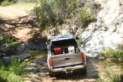 DSC_5914 (Large).JPG